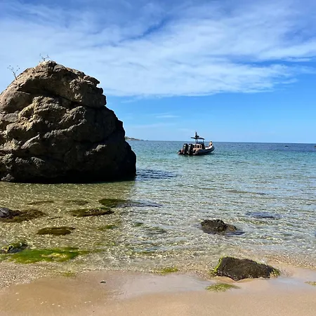 Good Mood In Life First Line *